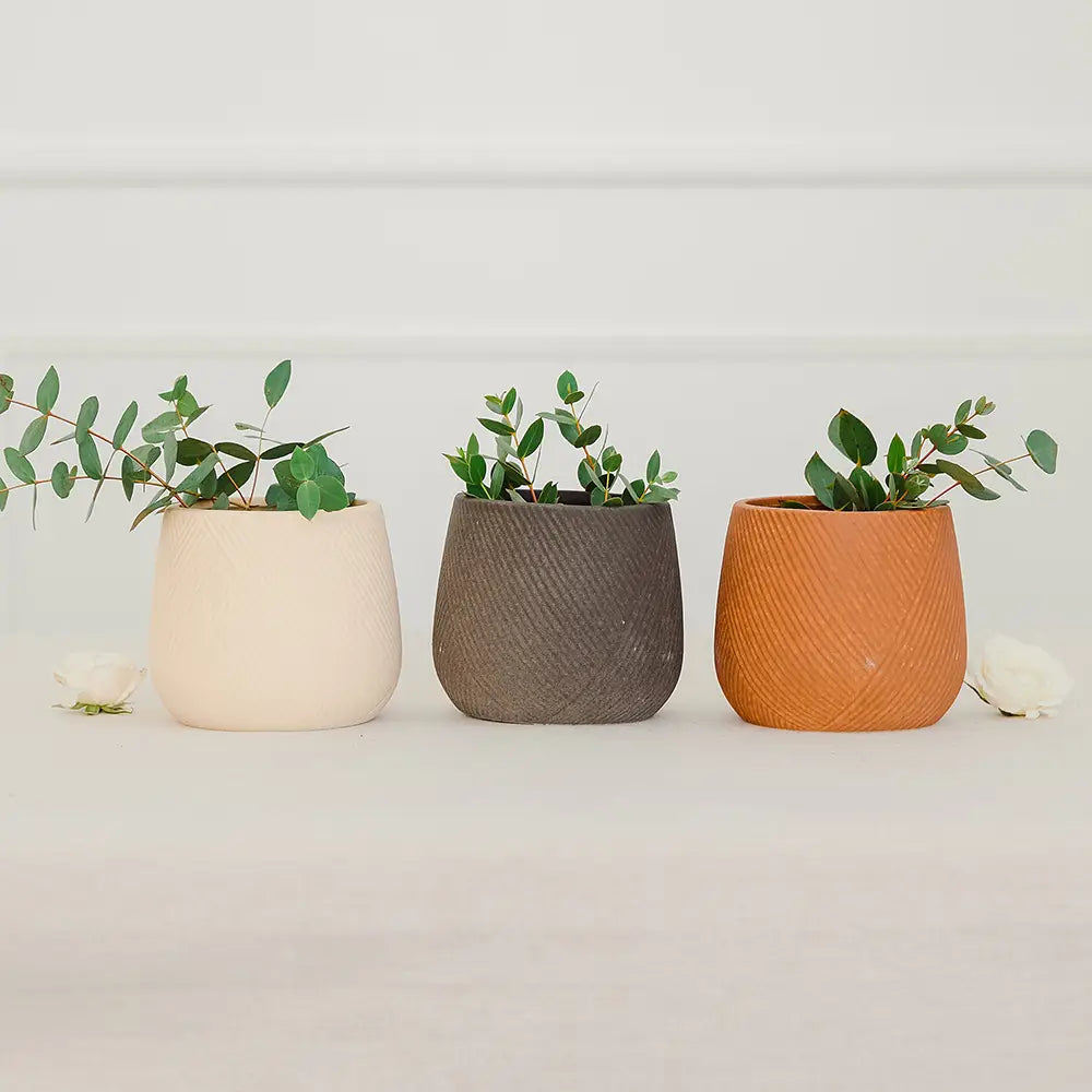 Small Decorative Indoor Ceramic Planters (Neutrals)