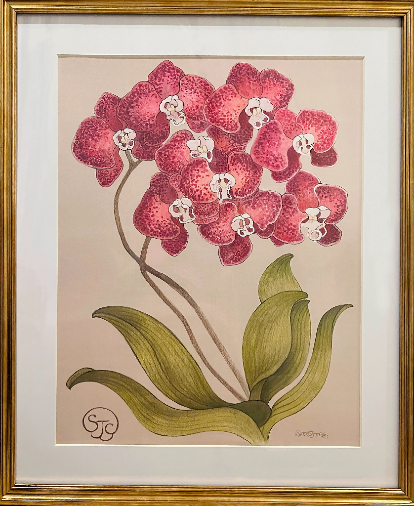 Red_Orchid_Art_Prints_Sze_Jones_Gold_Frame_1024