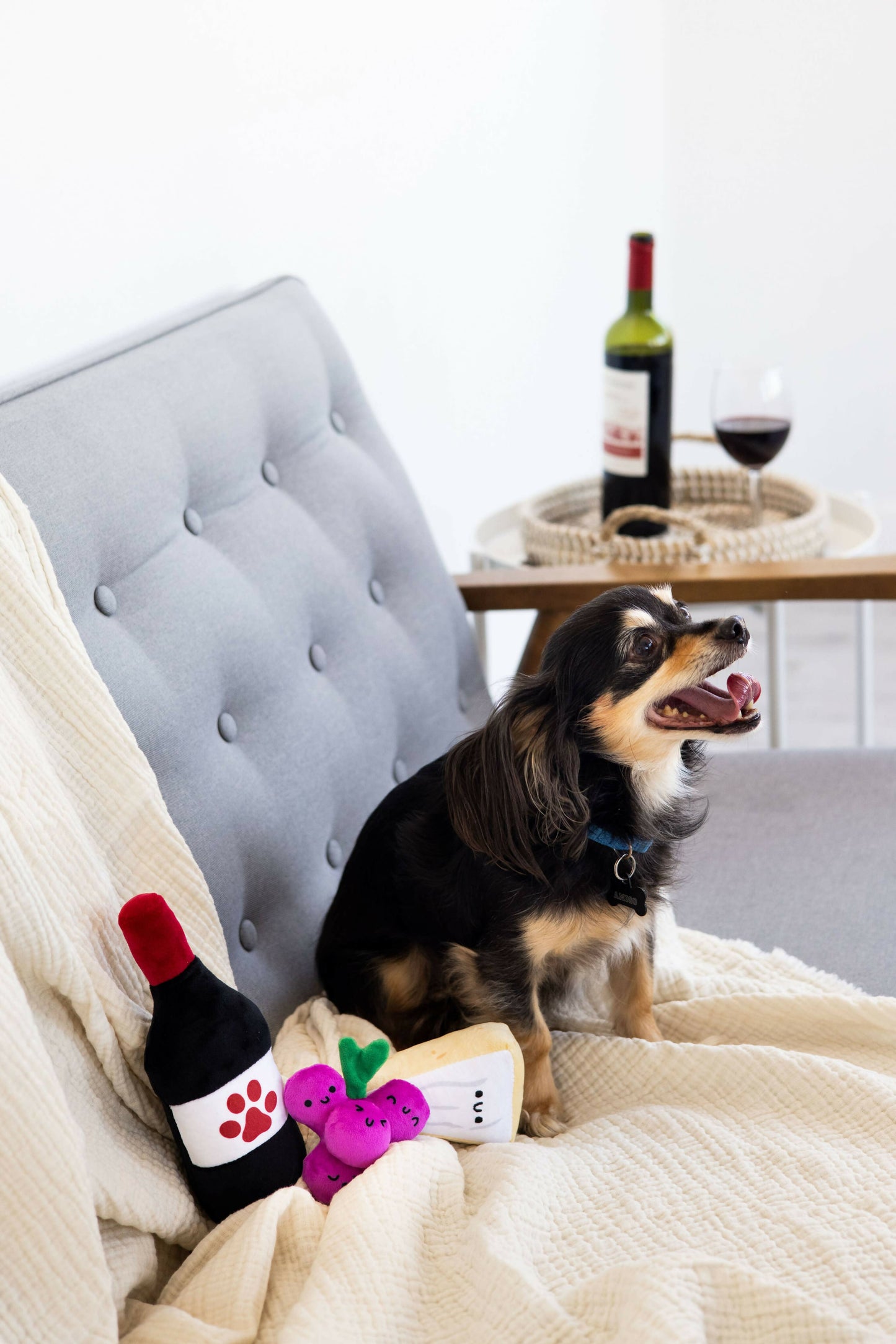 Wine and cheese 3