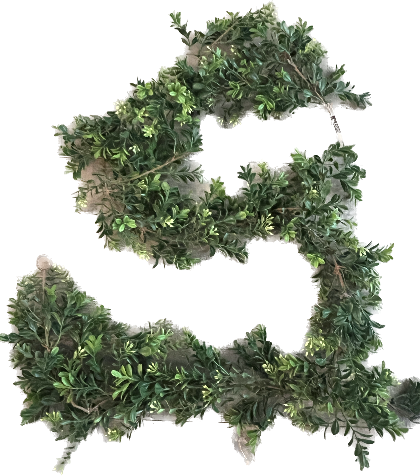 Boxwood Garland