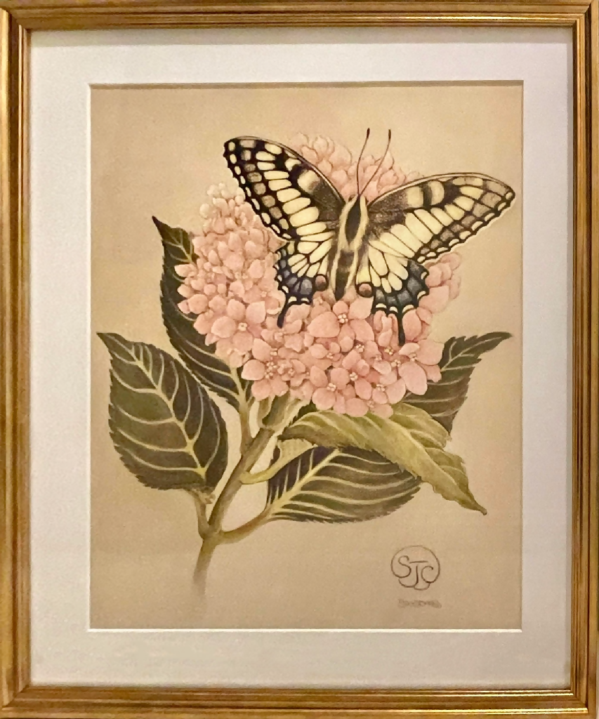 Swallowtail_Hydrangea_Sze_Jones_Gold_Frame