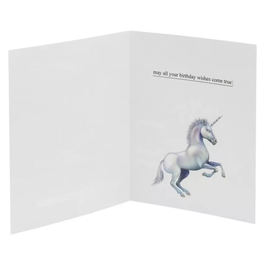 Unicorn 2