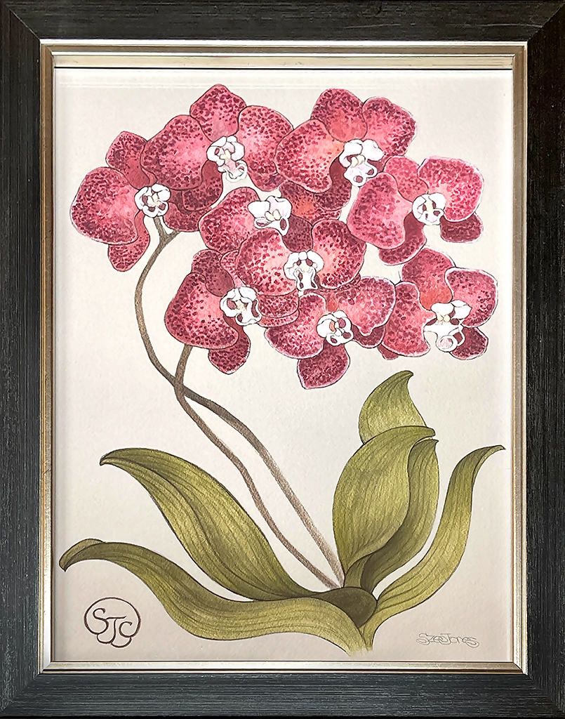 Orchid_Framed_Sze_Jones_1024