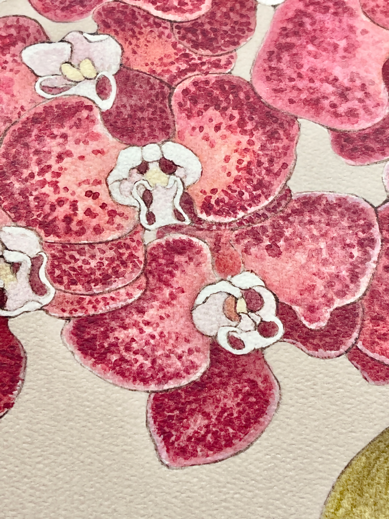 Red_Orchid_Sze_Jones_CloseUp