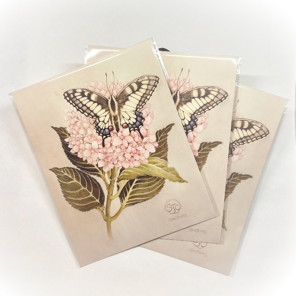Swallowtail_Hydrangea_Sze_Jones_Art_Print_1024