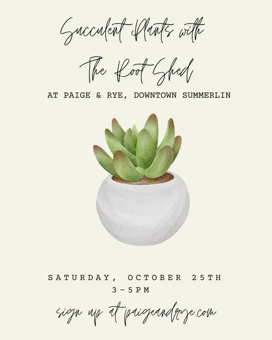 Succulent Class with The Root Shed