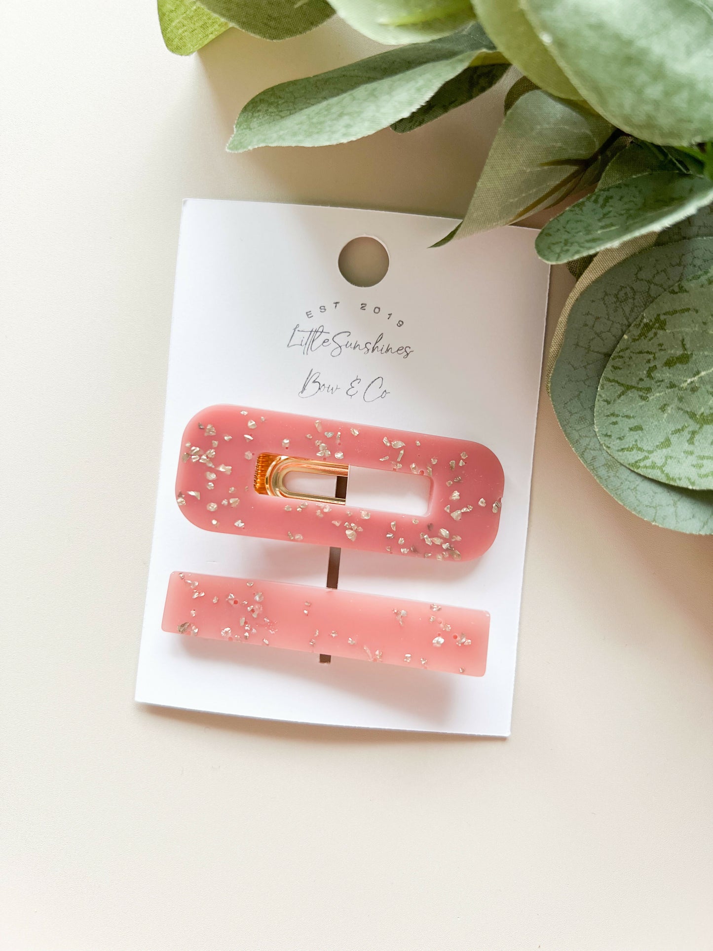 Rectangle Resin Hair Clip Set