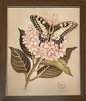 Swallowtail_Hydrangea_Sze_Jones_1024